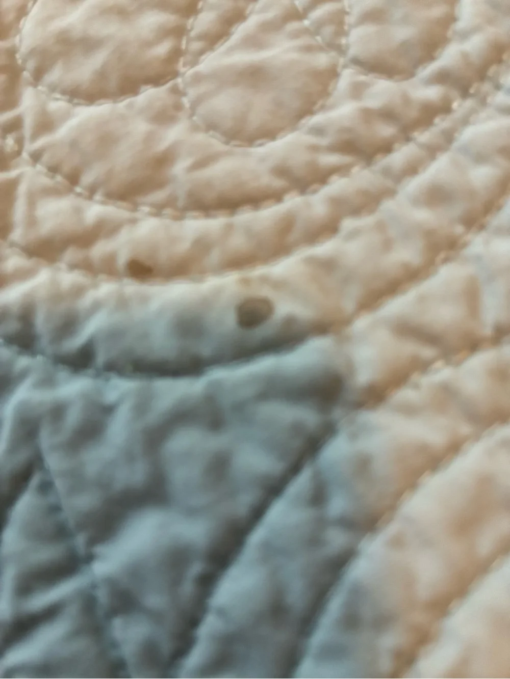 Simply Shabby Chic Quilted twin Matalasse & Sham